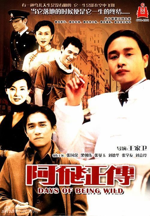 学位证书可以在学信网上查询吗